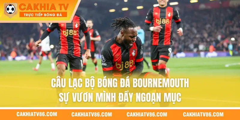 Câu Lạc Bộ Bóng Đá Bournemouth - Sự Vươn Mình Đầy Ngoạn Mục